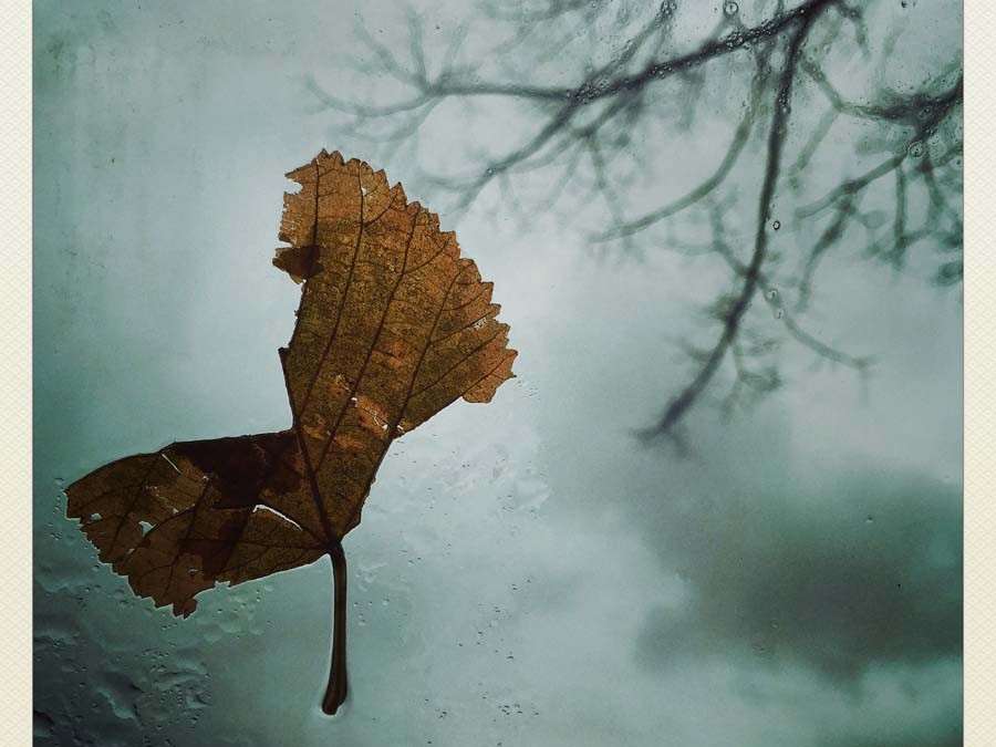 Emanuela Laurenti – Si sta come d’autunno