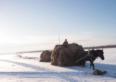 Mezensky restricted area. Arkhangelsk Oblast. On the iced bed of Kuloy river. Men retrieve the hay and load it on sledges pulled by a horse.