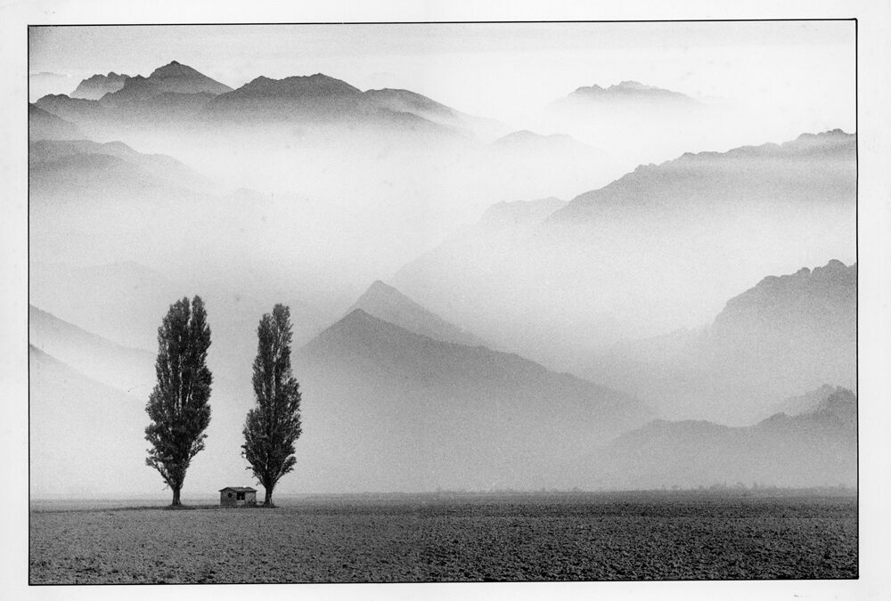 GIANDOMENICO SPREAFICO