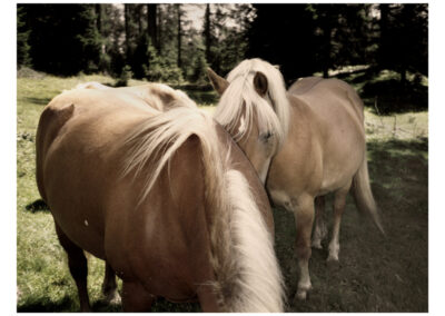 FABIO DOMENICALI “Nowhere”